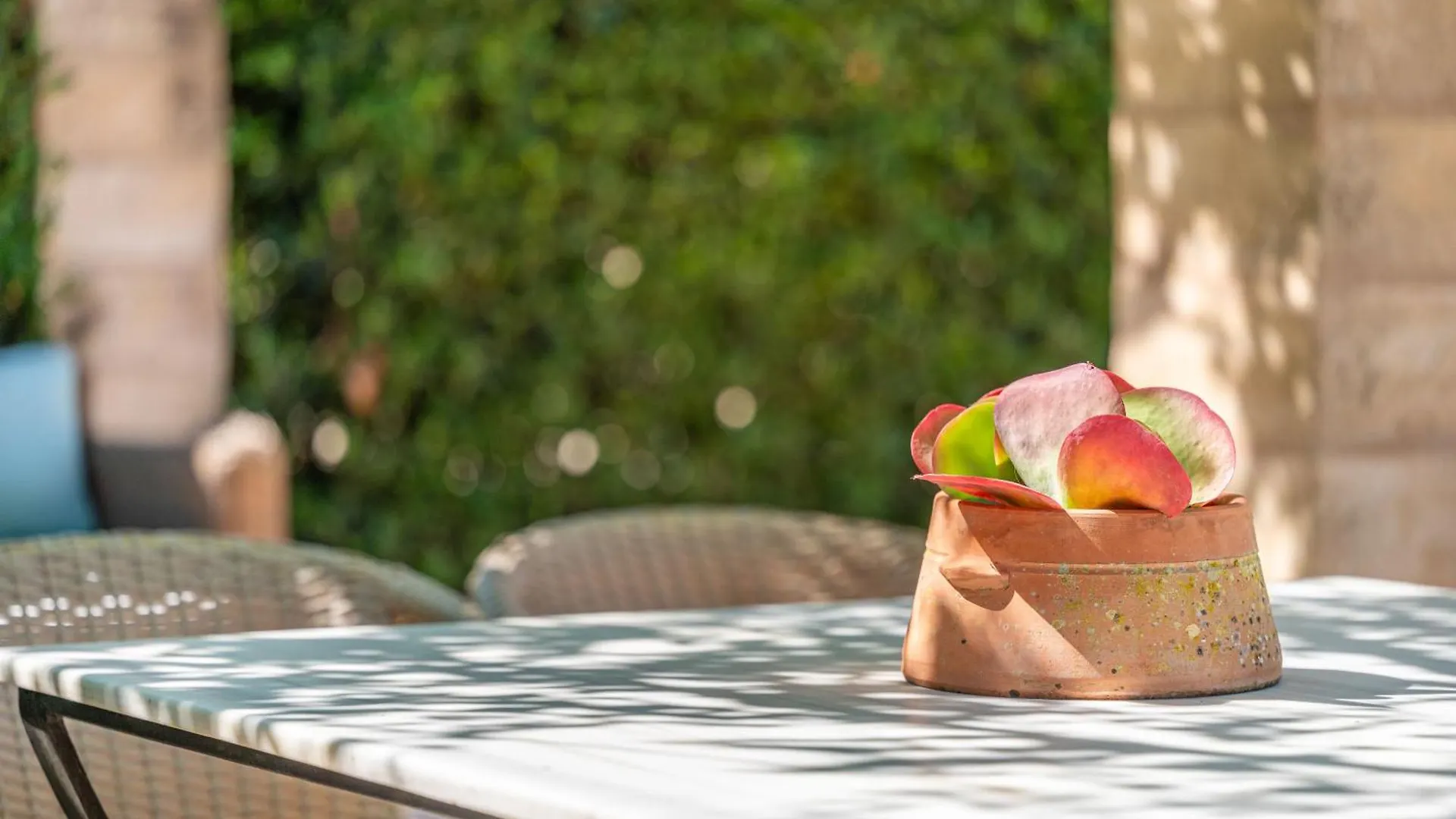 Séjour à la ferme Agroturismo Sa Rota D' En Palerm By Mhr Lloret de Vistalegre Espagne