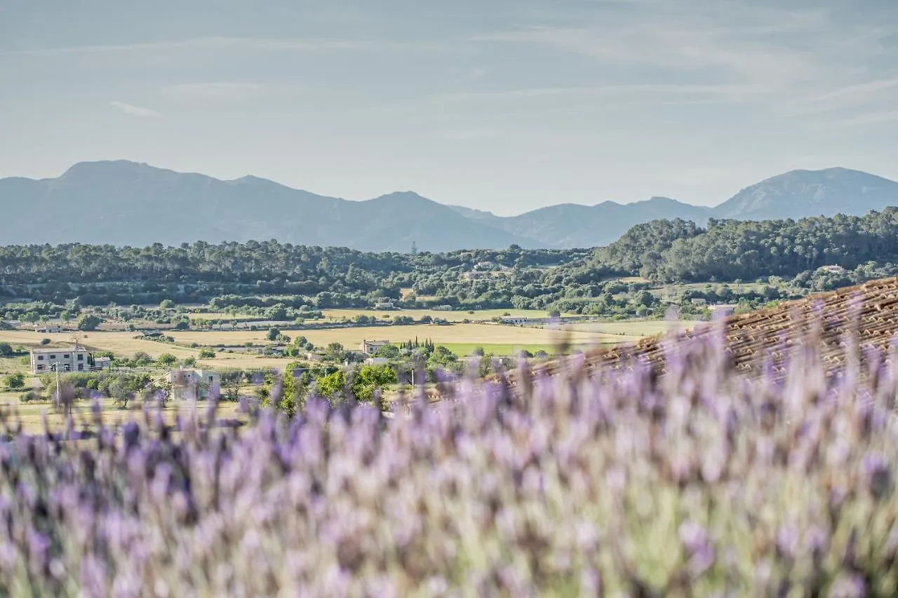 Agroturismo Sa Rota D' En Palerm By Mhr Lloret de Vistalegre